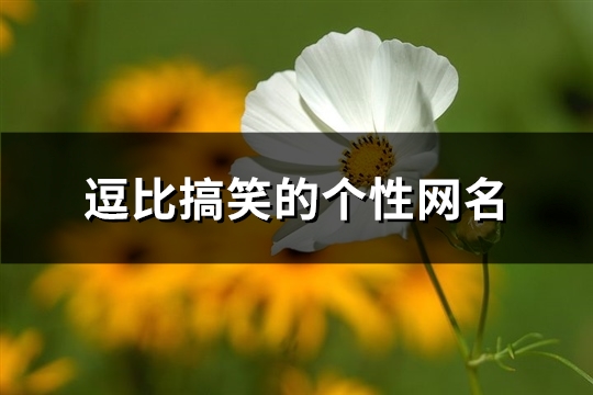 逗比搞笑的个性网名(优选401个)(逗比搞笑个性标签)