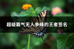 超级霸气无人争峰的王者签名(必备106句)