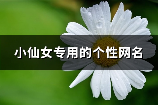 小仙女专用的个性网名(精选164个)(小仙女专用昵称)