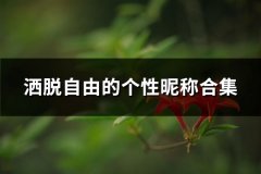 洒脱自由的个性昵称合集(296个)