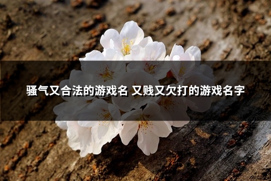 骚气又合法的游戏名 又贱又欠打的游戏名字(精选273个) 骚气又合法的游戏名双人