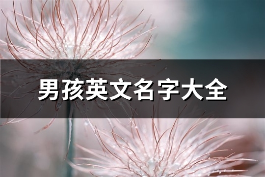男孩英文名字大全(共81个)(男孩英文名字大全)