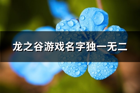 龙之谷游戏名字独一无二(精选503个)(龙之谷游戏名字女)