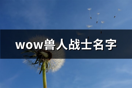 wow兽人战士名字(优选311个)