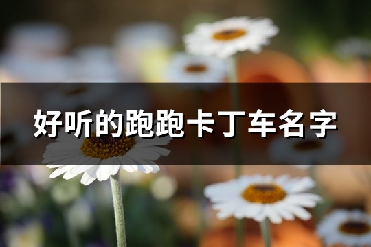 好听的跑跑卡丁车名字(优选104个)(好听的跑跑卡丁车名字最新)
