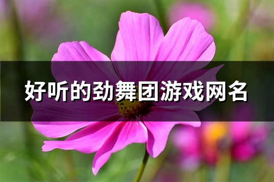 好听的劲舞团游戏网名(精选461个)(劲舞团好听的歌)