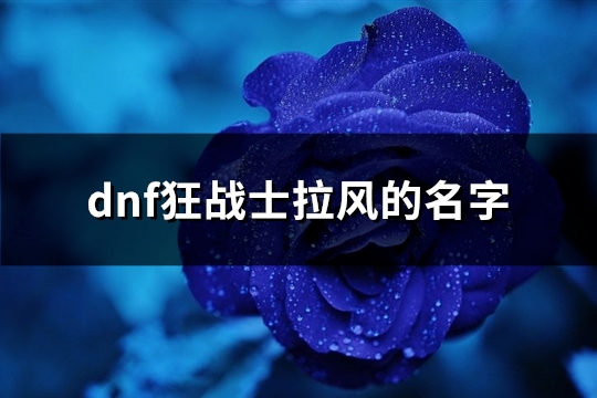 dnf狂战士拉风的名字(共238个)(dnf狂战士打什么属性)