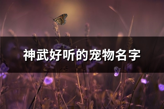 神武好听的宠物名字(共236个) 神武宠物名