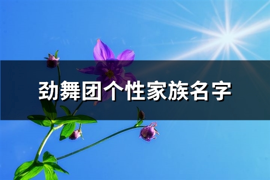 劲舞团个性家族名字(优选88个)(劲舞团游戏家族名字大全古风)