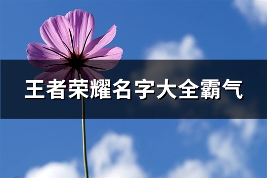 王者荣耀名字大全霸气(共201个)(王者荣耀名字大全)