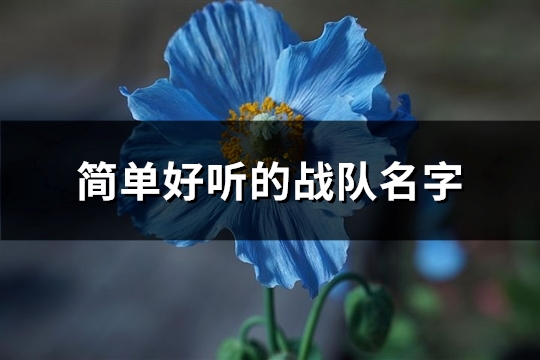 简单好听的战队名字(337个)(简单好听战队宣言(精选130句))