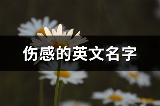 伤感的英文名字(精选160个)(伤感的英文名字网名)