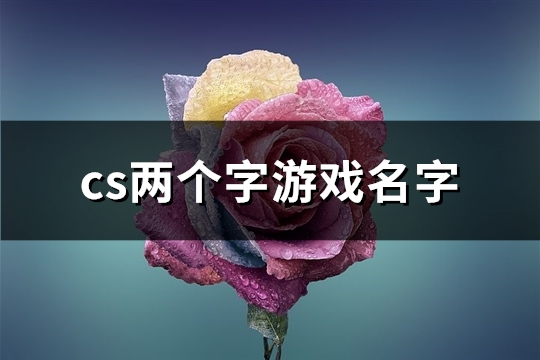 cs两个字游戏名字(共252个)(cs名字推荐)