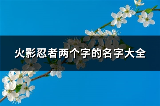 火影忍者两个字的名字大全(精选468个) 火影忍者两个字的人物名字