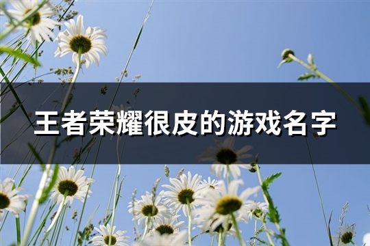 王者荣耀很皮的游戏名字(精选160个)(王者荣耀很皮的名字带符号)