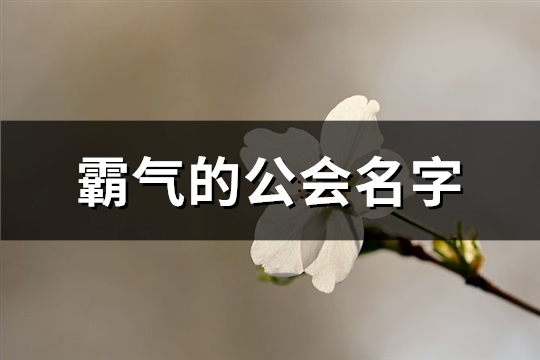 霸气的公会名字(精选478个) 霸气的公会名字二字个字
