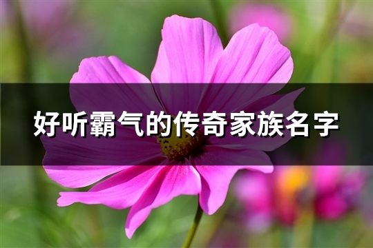 好听霸气的传奇家族名字(167个)(霸气的传奇名)