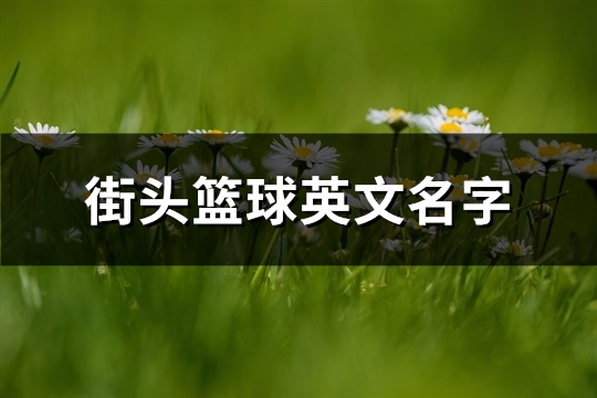 街头篮球英文名字(111个)(街头篮球英文怎么说)