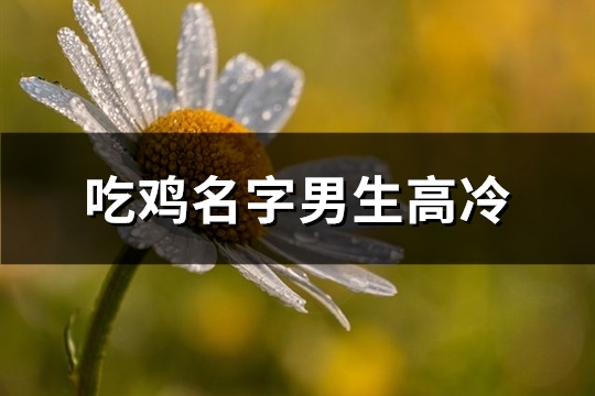 吃鸡名字男生高冷(共366个)(吃鸡名字男生高冷成熟)