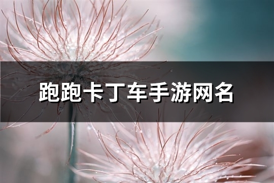 跑跑卡丁车手游网名(优选63个)(跑跑卡丁车手游等离子多少钱)