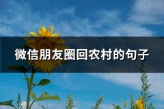 微信朋友圈回农村的句子(精选37句)