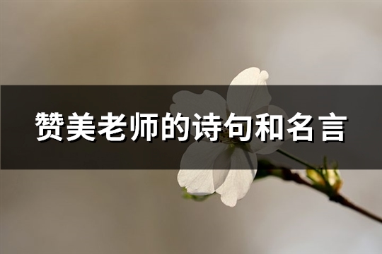 赞美老师的诗句和名言(必备40句)