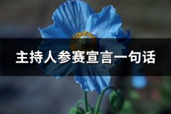 主持人参赛宣言一句话(推荐115句)