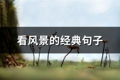 看风景的经典句子(优选83句)