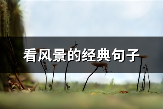 看风景的经典句子(优选83句)