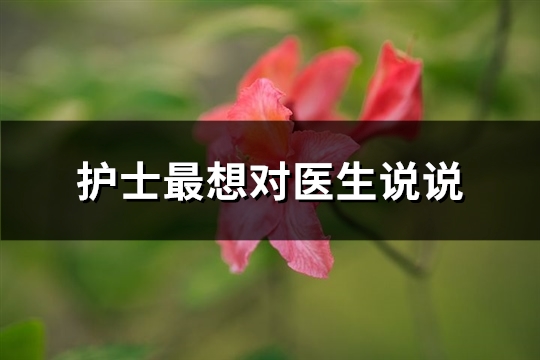 护士最想对医生说说(实用61句)