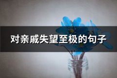 对亲戚失望至极的句子(热门61句)