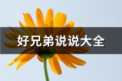 好兄弟说说大全(汇总81句)