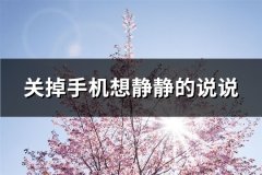 关掉手机想静静的说说(67句)