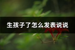 生孩子了怎么发表说说(共71句)