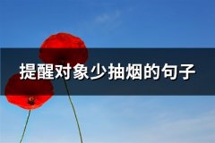 提醒对象少抽烟的句子(汇总66句)
