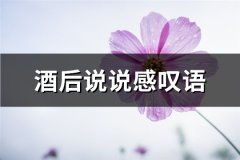 酒后说说感叹语(精选74句)