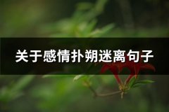 关于感情扑朔迷离句子(汇总80句)