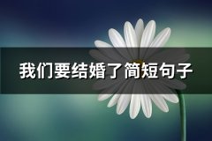 我们要结婚了简短句子(共243句)