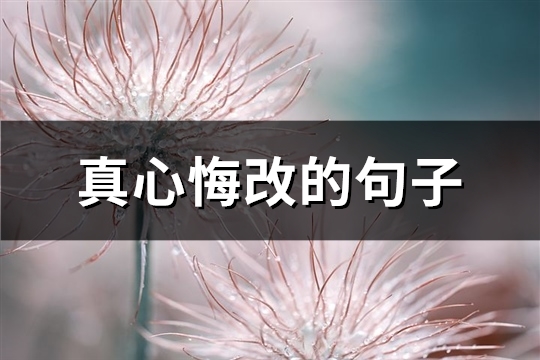 真心悔改的句子(实用79句)