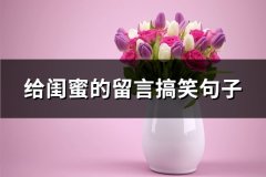 给闺蜜的留言搞笑句子(通用53句)