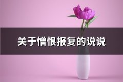 关于憎恨报复的说说(共55句)