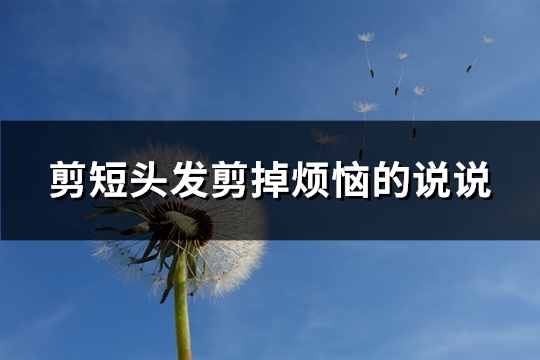 剪短头发剪掉烦恼的说说(实用64句)