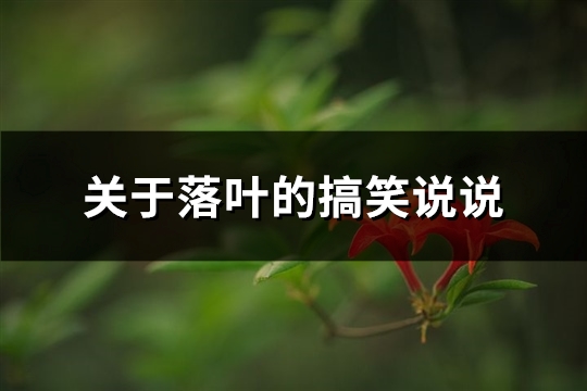 关于落叶的搞笑说说(通用69句) 关于落叶的搞笑说说(通用69句)