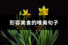 形容美食的唯美句子(汇总69句)