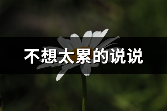 不想太累的说说(37句)