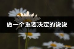 做一个重要决定的说说(通用55句)