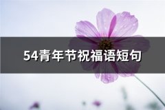 54青年节祝福语短句(必备65句)