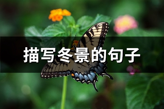 描写冬景的句子(通用94句)