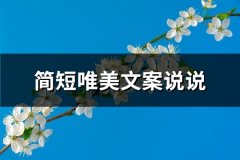 简短唯美文案说说(优选119句)