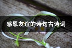 感恩友谊的诗句古诗词(共155句)